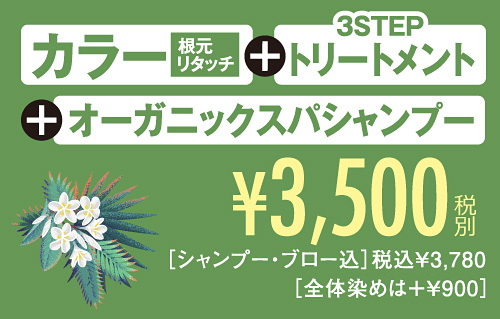 カラー＋3STEPトリートメント＋オーガニックスパシャンプー3500円